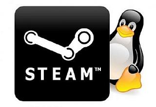 Steam per Linux