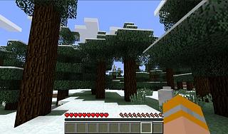 Minecraft - PC