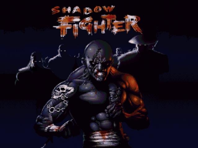 Shadow Fighter