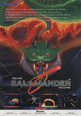 Salamander